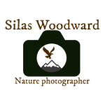 Profile picture of Silas Woodward